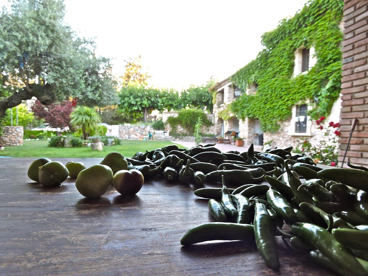 Chilliman & Mas Miro Biofarm Guest House Catllar Room photo